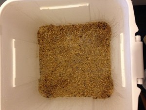 Brew_Pre_Mash